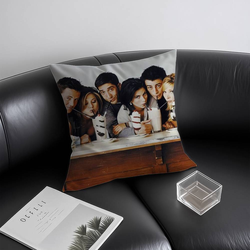 Anime F-Friends Pillow Case Anti-dustmite Invisible zipper Sofa Bed