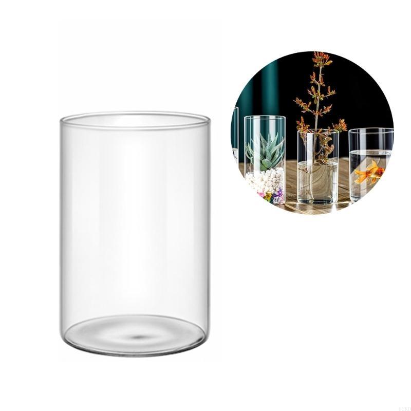 62KD Handcrafts Glass Vase Glass Cylinders Vase Glass Holder Beautiful Pattern for Florals Arrangements and Gifting