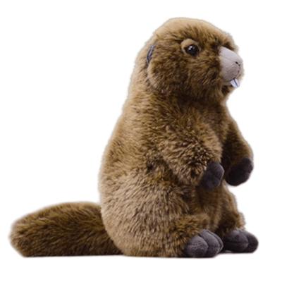 Lilizzhoumax Realistic Groundhog Super Soft Groundhog Stuffed Kids Brown Plush, Animal, Girl's Toy, Gift, 9-Inch