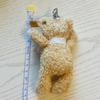 [USED] Steiff Teddy Bear Keychain