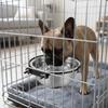 Edelstahl Innen Haustier Hänge Napf Glatte Runde Form Hundekäfig Futter Napf Haustierkäfig Futterzufuhr