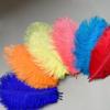 Source Thin Rod Ostrich Hair 20-25Cm High Quality Feather Diy Stage Clothing Accessories Flower Arrangement Material