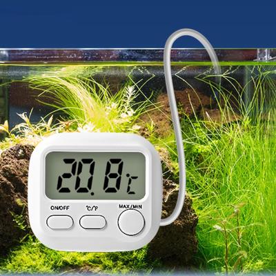 דגים ובעלי חיים ימיים – מדי חום לאקווריום