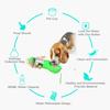 with Trash Bag Box and Shovel Pet Dog Water Bottle 3 in 1 Dog Food Feeder  Walking The Dog