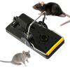 Mouse Trap Kit Pied Trap High Quality Easy Safe Platoon