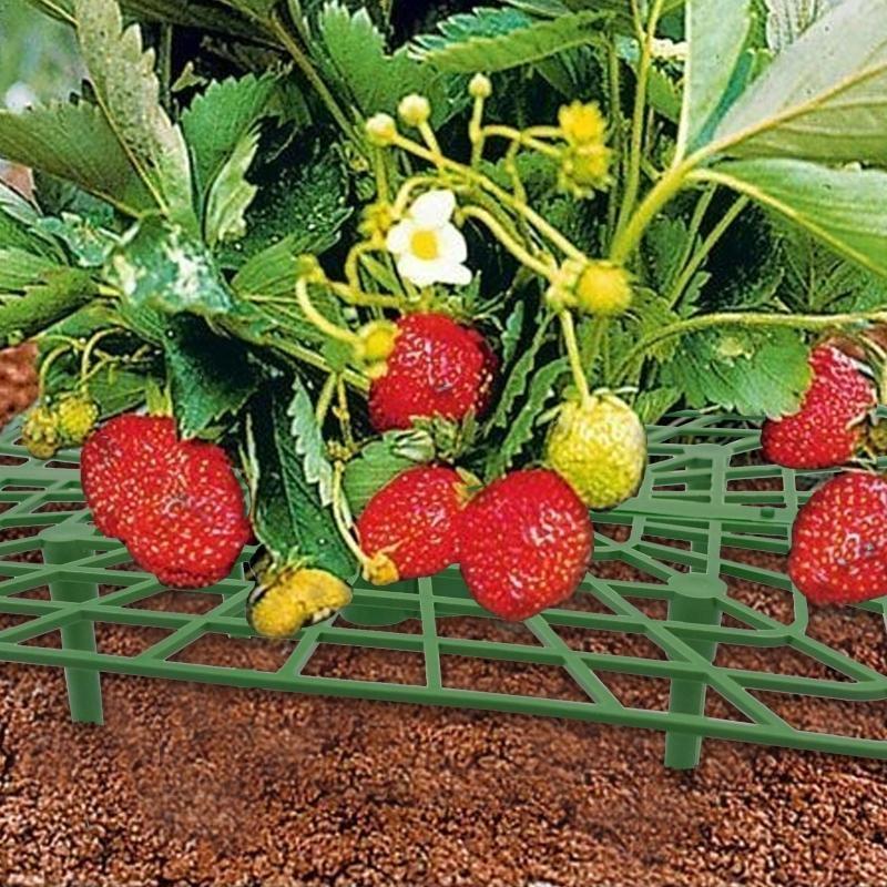 Plastic Strawberry Supports Anti-rot Strawberry Growing Racks Garden Accessories