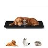 High Precision 10g Pet Scale 20kg Digital Weighing Scale for Cats Dogs Parcels Postal Shipping Electronic Kitchen Scale