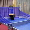 Double Fish Table Tennis Serving Machine