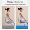 Morphy Heated Lumbar and Back Support Cushion CN Plug (adapter Included)