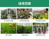 Mobile WiFi Remote-controlled Automatic Plant Watering Sprinkler Timer No Gateway Needed