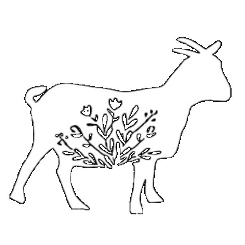 Übergroßes T-Shirt Schwarze Ziege Blumendruck Grafik-T-Shirt Freizeitkleidung für Damen Sommer Mode Lockere Passform Oberteil Streetwear Stil