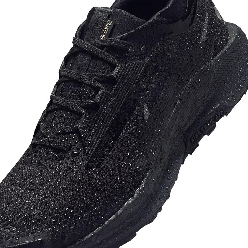 Nike Men's Pegasus GTX Running Shoes