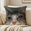 Cute Cat Thousand Yard Stare Meme Pillow Case Living Room Sofa Cushion Cover Suitable For Home Bedroom Room Decoration