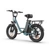 URLIFE E20 Multi Terrain E-Bike 48V13Ah Battery 500W Motor 20 Inch Fat Tires 25KM/H Top Speed 65KM Range City Commuting Electric Bicycle
