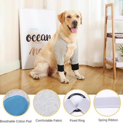 Köpek – Köpek bakım ürünleri