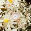 Montre pour femme Daisy Ins Style Simple Tempérament Étudiant Petite Niche Design Bracelet Montre
