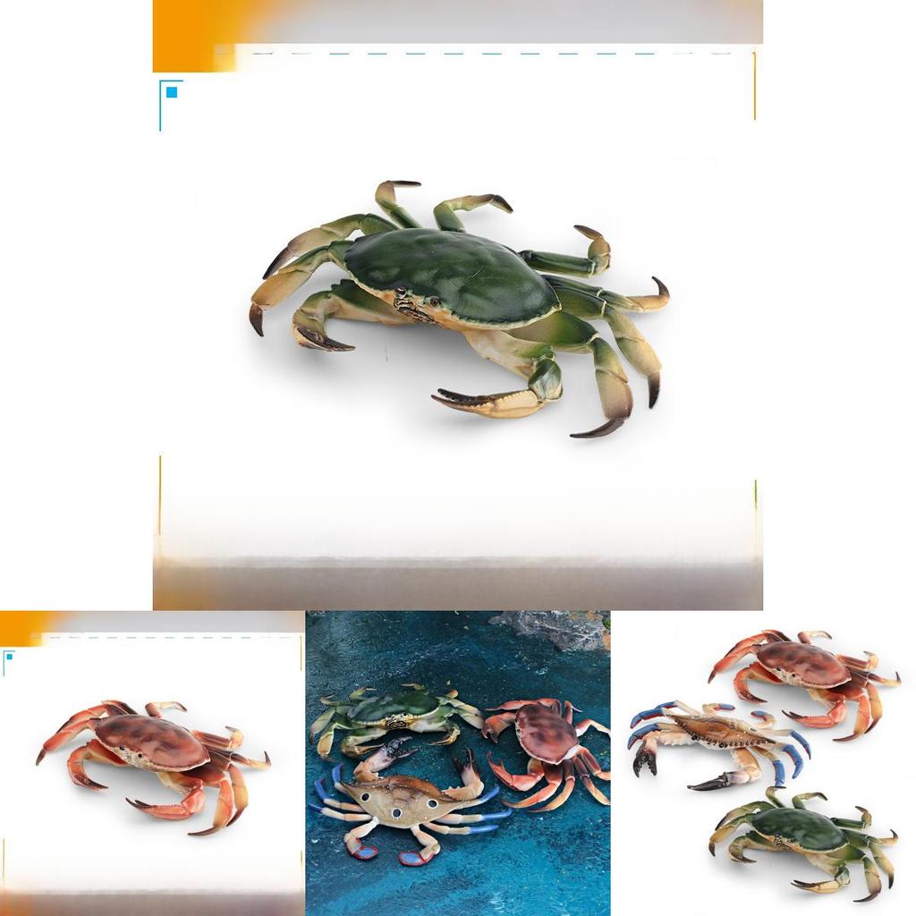 Marine Animal Crab Model For Kids Educational Decor Pvc Collectible Toy