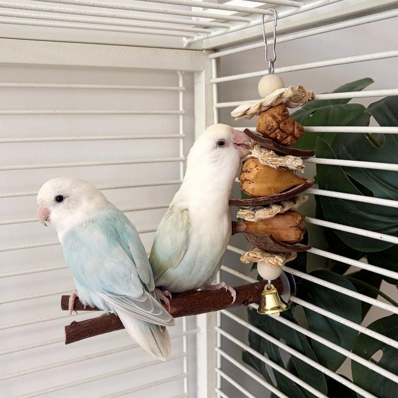 Handmade Parrot Toy Made of Corn Husk, Fur, Coconut Shell, Chewable String, Peony Flower, Phoenix Tiger Skin