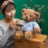 Delightful Bear Teddy Plush Stuffed Animal Cuddly Bear Doll Cute 30cm Design