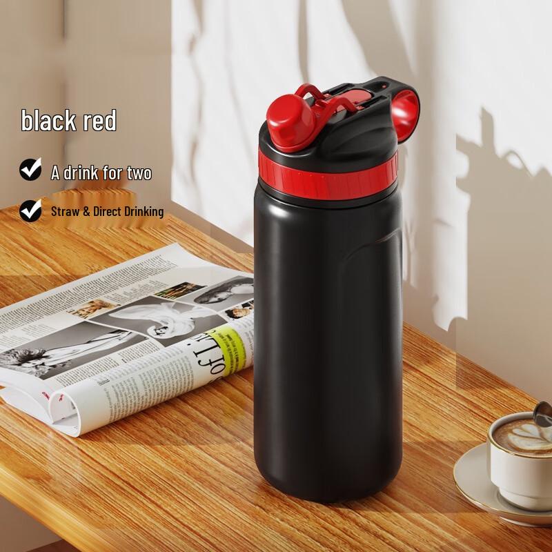 MRSIKEY Large Capacity Dual-Drink Stainless Steel Insulated Straw Cup