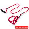 Adjustable Dog Leash and Collar Set for Small, Medium, and Large Dogs - Ideal for Walking Pets like Teddy and Golden Retriever