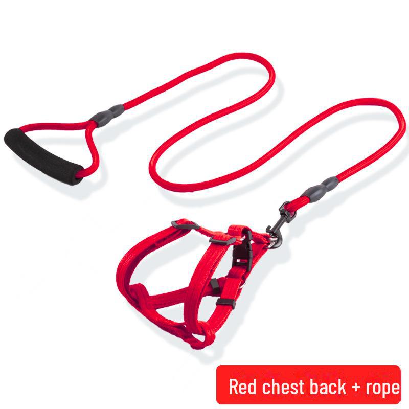 Adjustable Dog Leash and Collar Set for Small, Medium, and Large Dogs - Ideal for Walking Pets like Teddy and Golden Retriever