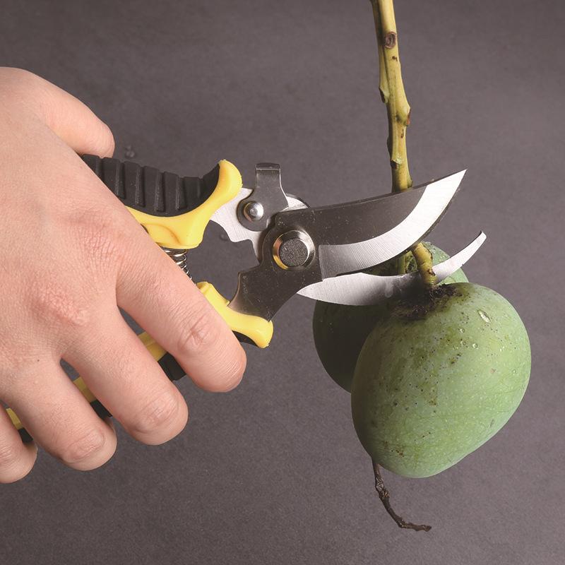 Multifunksjonell plantebeskjæringssaks Håndbeskjærer Hagesaks Hagebeskjærer Podet Fruktplukking Tre Bonsaisaks