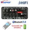 WOOPKER 30W-120W Digitales Bluetooth-Verstärkerboard D10C Subwoofer Dual-Mikrofon-Verstärker-Lautsprecher für Auto-Karaoke Heimkino DIY