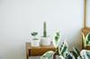 Kinto Plant Pot Earth 29199 191, Gray, 170x160mm,