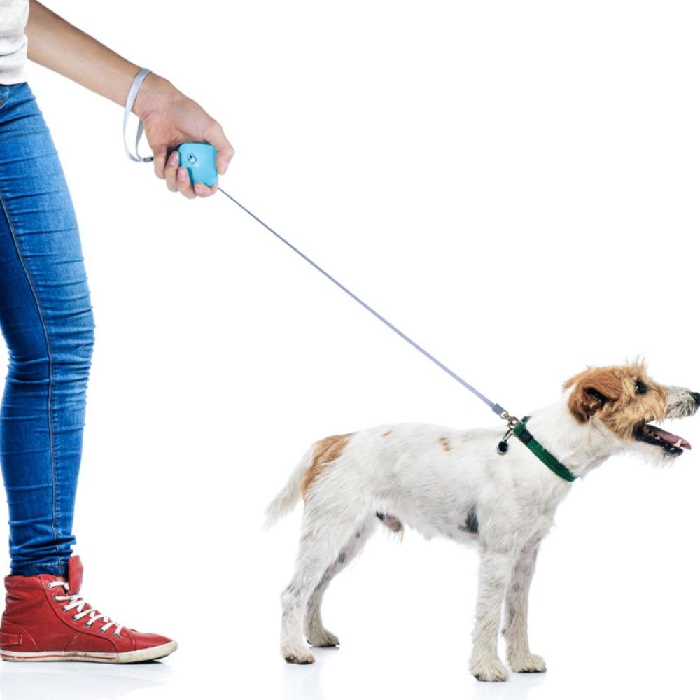 Portable Plastic Retractable Dog Leash Nylon 2M Length Small Dog Leash Flexible Dog Leash Pets
