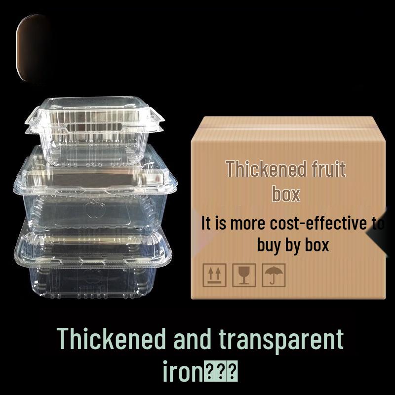 Disposable Transparent Food Container with Lid
