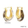 French Maillard Vintage Fashion U-shaped Resin Earrings Light Luxury High-end Stainless Steel Girls' Personalized Jewelry