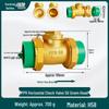 Brass Check Valve: PPR 20 4-point, 25 6-point, 1 Inch 32 Hot Melt Horizontal One-way Anti-backflow Water Pipe.
