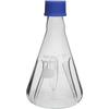 Hario Baffled Erlenmeyer Flask 500mL Screw-Cap BNSF-500-SCI