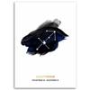 Canvas print, Zodiac sign Sagittarius