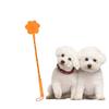 Non-slip Handle Training Dog Stick Claw Shaped Training Dog Whip   Training Educating Dog
