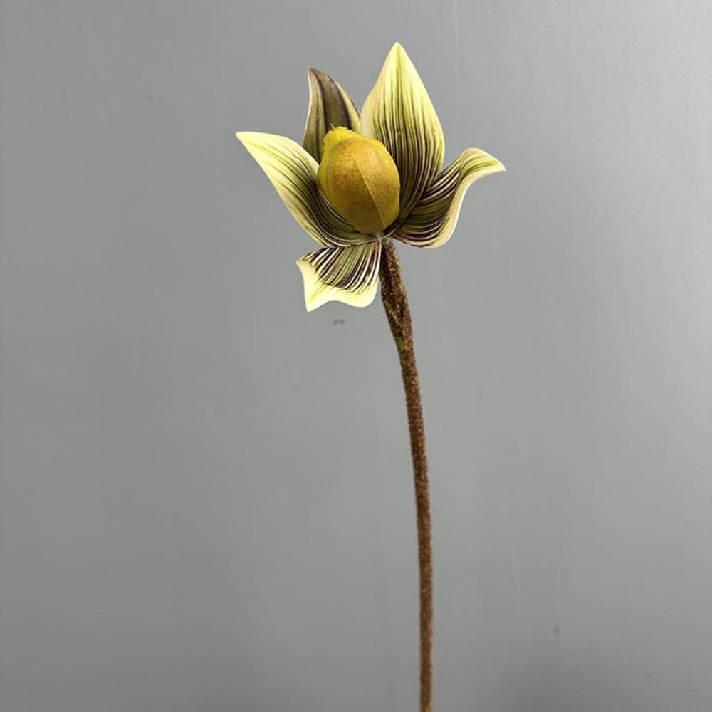 

Real Touch Artificial Slipper Orchid Lifelike Realistic Silk Orchid Flower Single Branch Simulation Orchid Outdoor Indoor Decor темно-зелений колір