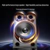 SAST Outdoor Portable Bluetooth Karaoke Speaker with Microphone CN plug (adapter included)