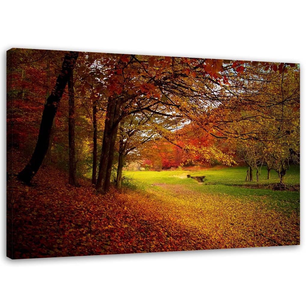 Canvas Print, Trees In a Park Landscape