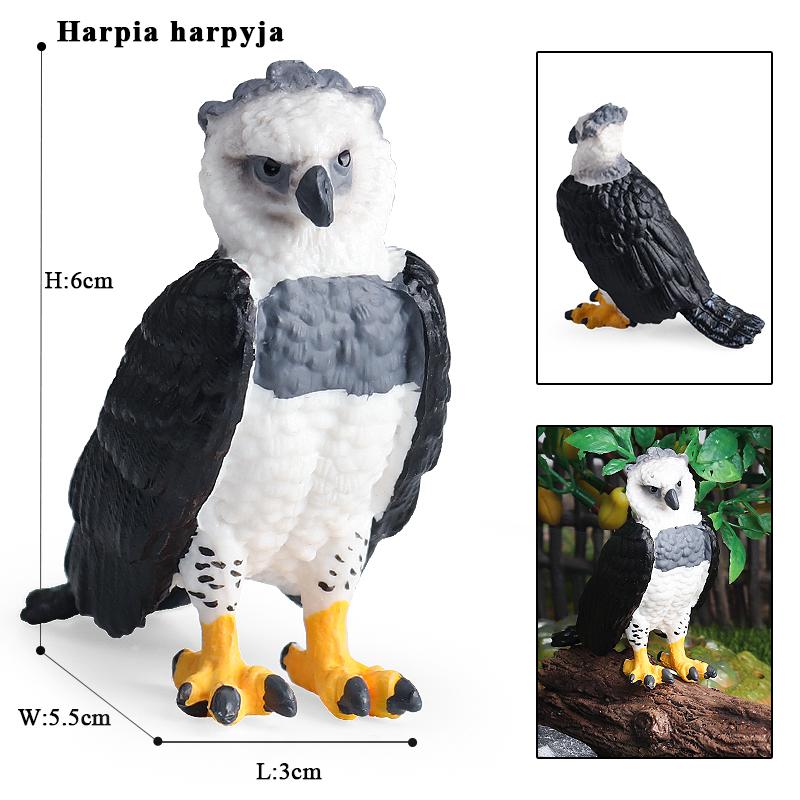 Oenux Wild Bird Animals Forest Night Eagle Condor Figurines PVC Action Figure Garden Decoration Education Miniature Toy Kid Gift