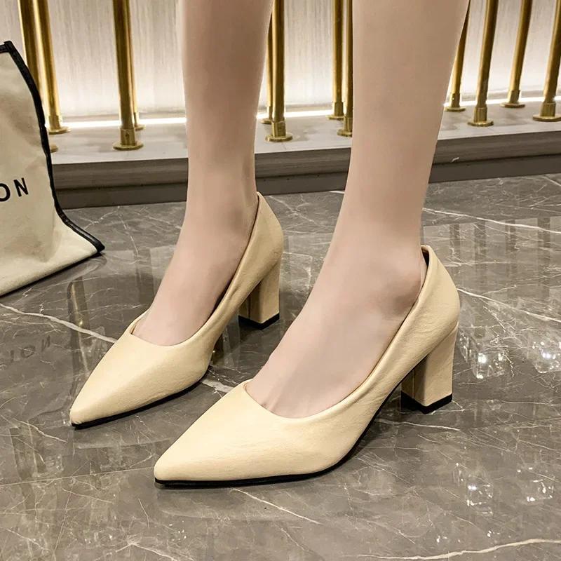 Spring Autumn Large Size High Heels Pointed Toe Thick Heel Fashion Work Shoes Elegant Personality Single Low Heel Shoes