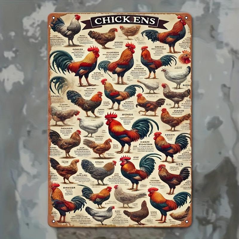 

2D Flat, 2D Wall Art- 1pc, Complete Illustration of Chicken Breeds- Vintage Metal Tin Painting, Artistic Decoration, Easy Instal 20X30CM
