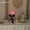 Rechargeable Handheld Electronic Flame Simulation Torch for Parties and Bonfires