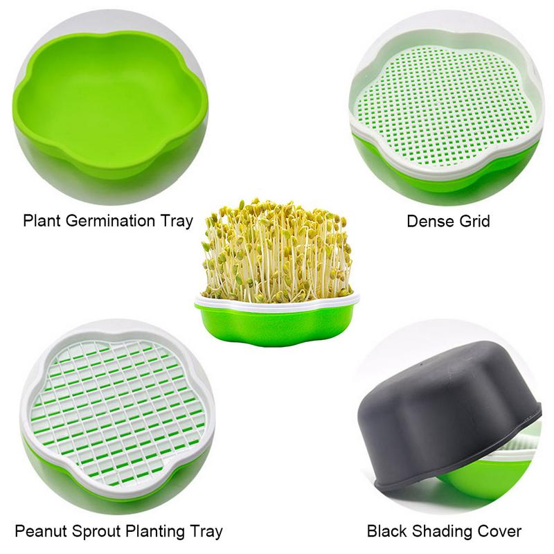 Nursery Pots Sprouts Seedling Tray Breeding Box Indoor Hydroponics Planting Box Hydroponic Flower Basket Sprouts Planting Box