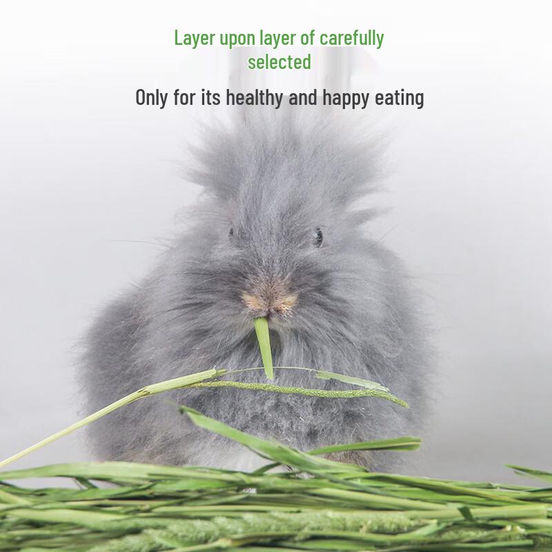 Dried Timothy Hay for Rabbits, Chinchillas, Guinea Pigs