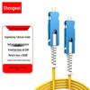 Shenwei Singlemode Duplex LSZH Fiber Optic Patch Cable