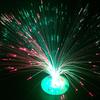 Multicolor Glowing Optic Flower LED Fiber Light Night Home Bar Cafe Decor Lamp