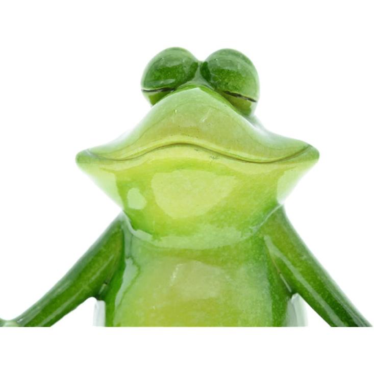 Queemie® Set of 2 Creative Yoga Frogs Statues, 2 Different Yoga Poses Froggy Sculptures, Mascot Frogs Meditation Resin Collectible Figurines for