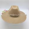 Chapeau de Soleil Pliable Respirant Unisexe en Paille pour Voyage & Plage