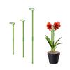 6 Pcs Plant Support Stakes Extendable Support Stakes Orchid Sticks with Ring